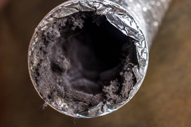 Best Home Air Vent Cleaning  in Mauriceville, TX