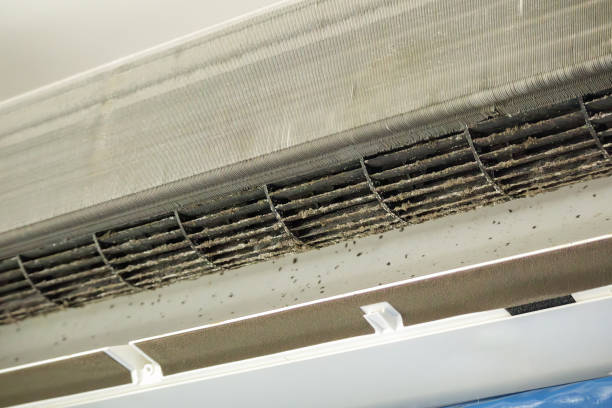 Best Best Air Duct Cleaning Company  in Mauriceville, TX